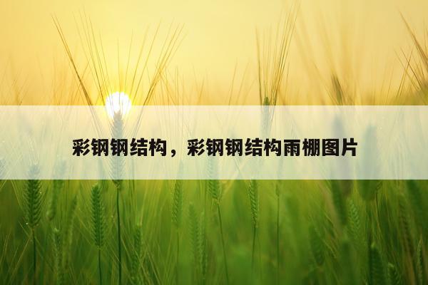 彩钢钢结构，彩钢钢结构雨棚图片