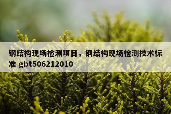 钢结构现场检测项目，钢结构现场检测技术标准 gbt506212010
