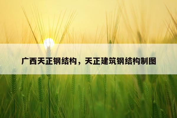 广西天正钢结构，天正建筑钢结构制图