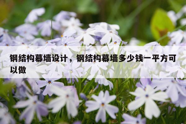 钢结构幕墙设计，钢结构幕墙多少钱一平方可以做