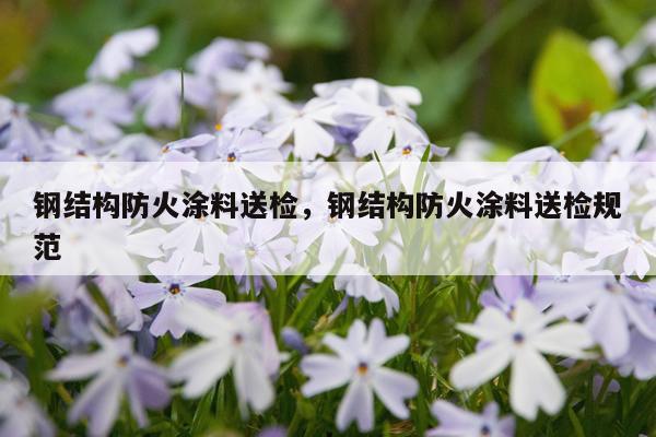 钢结构防火涂料送检，钢结构防火涂料送检规范
