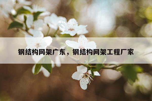 钢结构网架广东，钢结构网架工程厂家