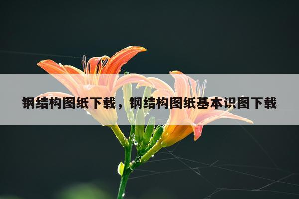 钢结构图纸下载，钢结构图纸基本识图下载