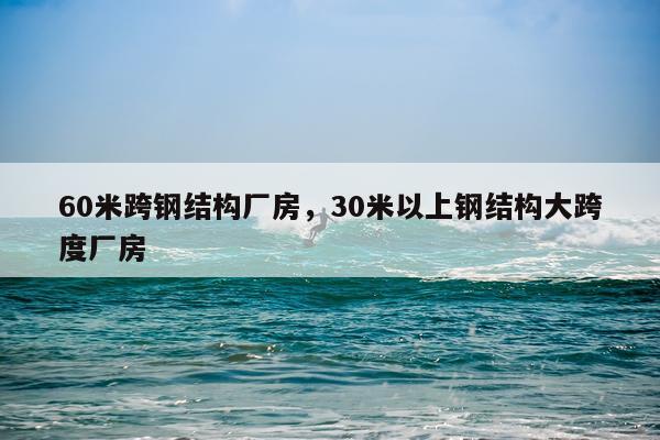 60米跨钢结构厂房，30米以上钢结构大跨度厂房