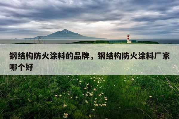 钢结构防火涂料的品牌，钢结构防火涂料厂家哪个好
