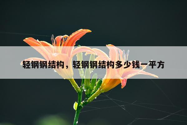 轻钢钢结构，轻钢钢结构多少钱一平方
