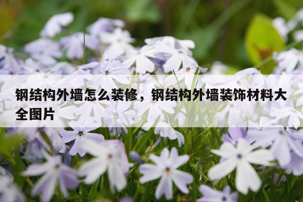 钢结构外墙怎么装修，钢结构外墙装饰材料大全图片