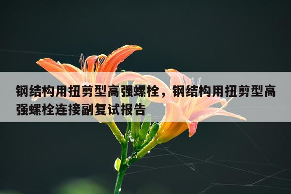 钢结构用扭剪型高强螺栓，钢结构用扭剪型高强螺栓连接副复试报告