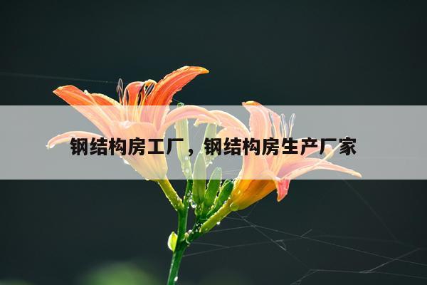 钢结构房工厂，钢结构房生产厂家