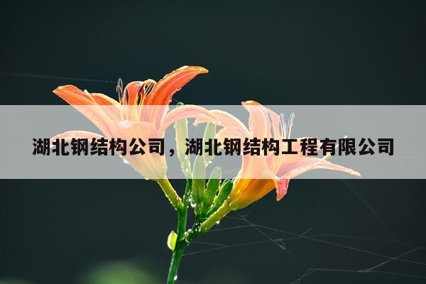 湖北钢结构公司，湖北钢结构工程有限公司