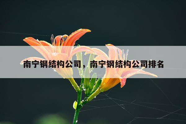 南宁钢结构公司，南宁钢结构公司排名