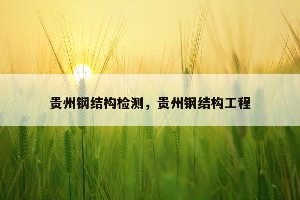 贵州钢结构检测，贵州钢结构工程