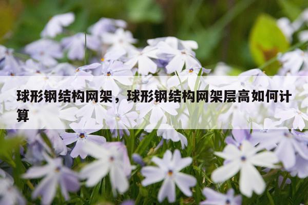 球形钢结构网架，球形钢结构网架层高如何计算