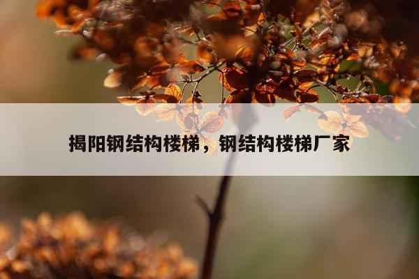 揭阳钢结构楼梯，钢结构楼梯厂家