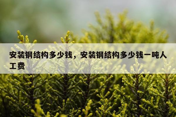 安装钢结构多少钱，安装钢结构多少钱一吨人工费