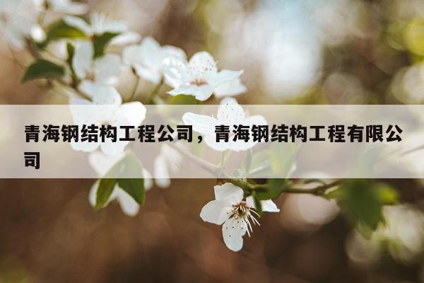青海钢结构工程公司，青海钢结构工程有限公司