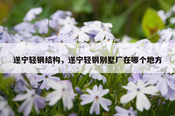 遂宁轻钢结构，遂宁轻钢别墅厂在哪个地方