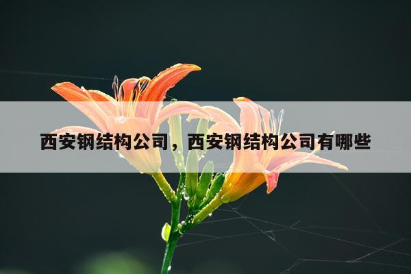 西安钢结构公司，西安钢结构公司有哪些