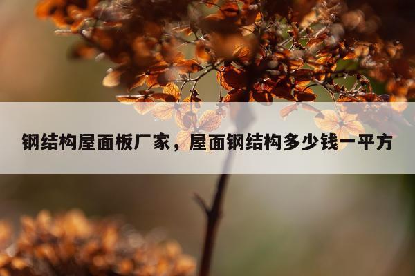 钢结构屋面板厂家，屋面钢结构多少钱一平方