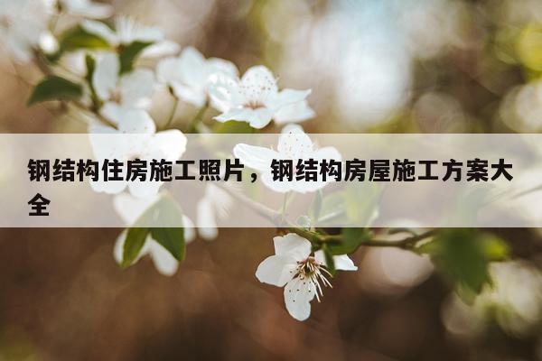 钢结构住房施工照片，钢结构房屋施工方案大全