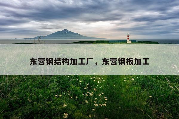 东营钢结构加工厂，东营钢板加工