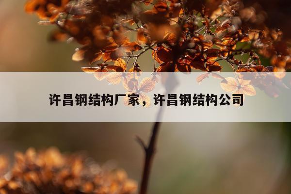 许昌钢结构厂家，许昌钢结构公司