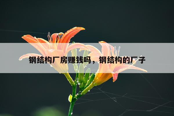 钢结构厂房赚钱吗，钢结构的厂子