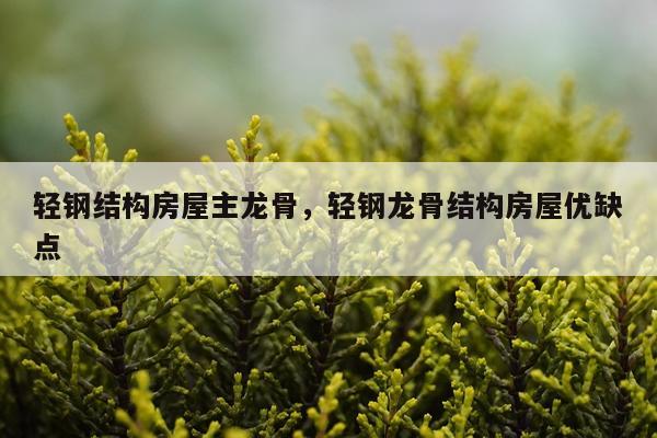 轻钢结构房屋主龙骨，轻钢龙骨结构房屋优缺点