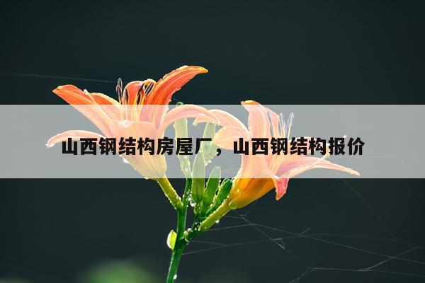 山西钢结构房屋厂，山西钢结构报价