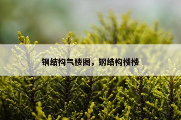 钢结构气楼图，钢结构楼楼