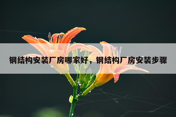钢结构安装厂房哪家好，钢结构厂房安装步骤