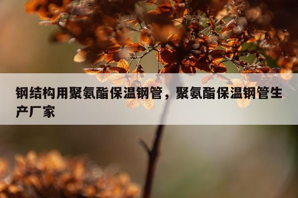 钢结构用聚氨酯保温钢管，聚氨酯保温钢管生产厂家