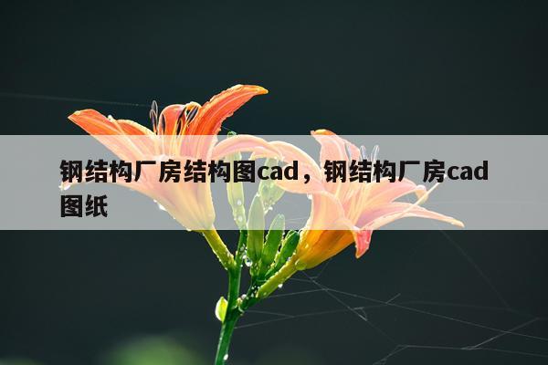 钢结构厂房结构图cad，钢结构厂房cad图纸