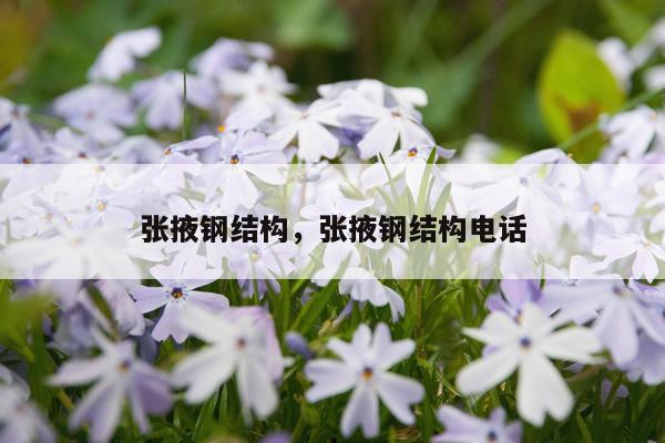 张掖钢结构，张掖钢结构电话