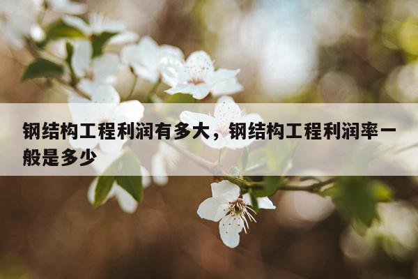 钢结构工程利润有多大，钢结构工程利润率一般是多少