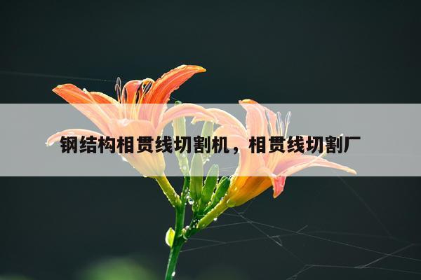 钢结构相贯线切割机，相贯线切割厂