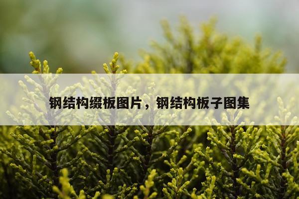 钢结构缀板图片，钢结构板子图集