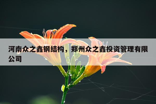 河南众之鑫钢结构，郑州众之鑫投资管理有限公司