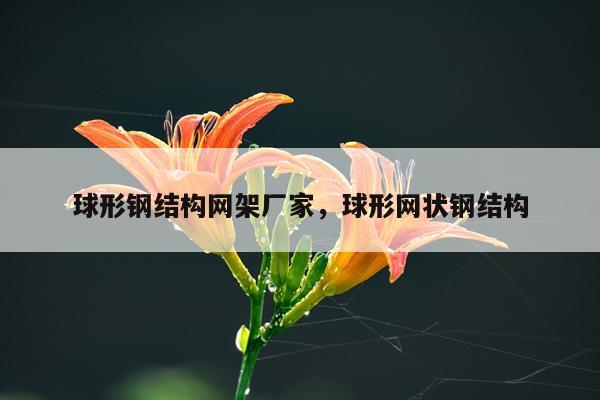 球形钢结构网架厂家，球形网状钢结构