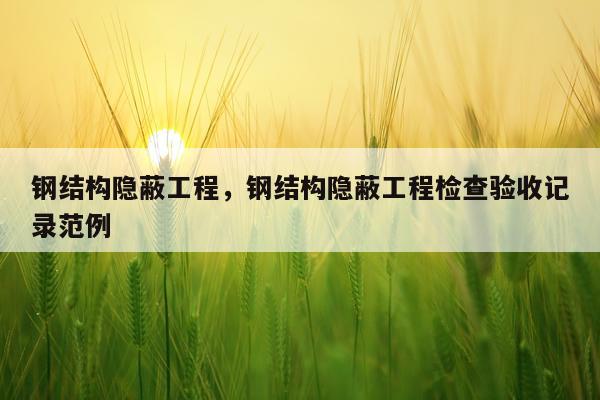 钢结构隐蔽工程，钢结构隐蔽工程检查验收记录范例