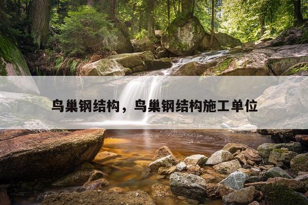 鸟巢钢结构，鸟巢钢结构施工单位