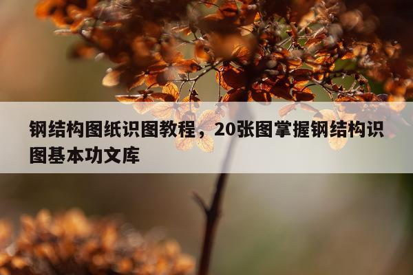 钢结构图纸识图教程，20张图掌握钢结构识图基本功文库