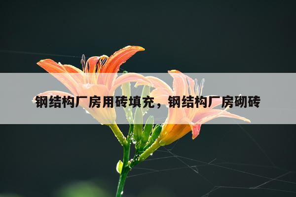 钢结构厂房用砖填充，钢结构厂房砌砖