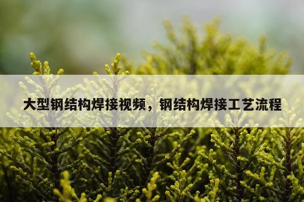 大型钢结构焊接视频，钢结构焊接工艺流程