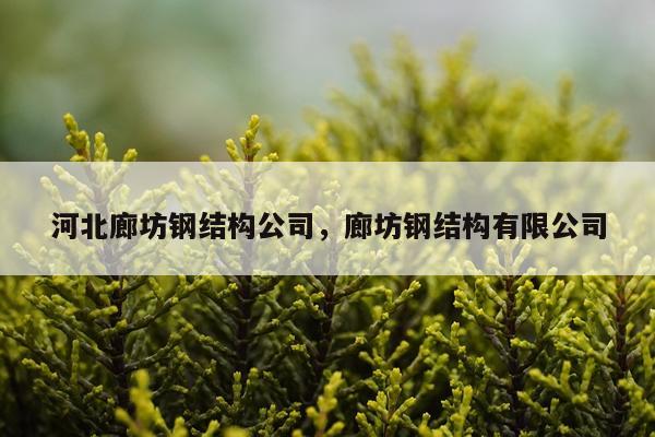 河北廊坊钢结构公司，廊坊钢结构有限公司