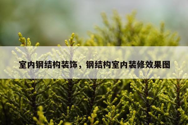 室内钢结构装饰，钢结构室内装修效果图