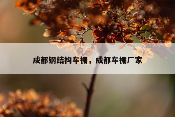 成都钢结构车棚，成都车棚厂家