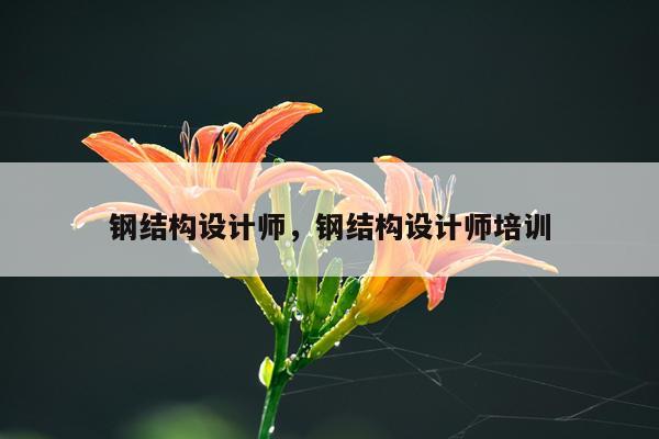 钢结构设计师，钢结构设计师培训