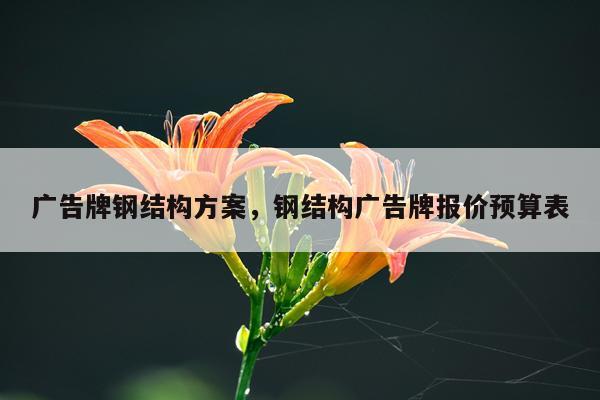 广告牌钢结构方案，钢结构广告牌报价预算表