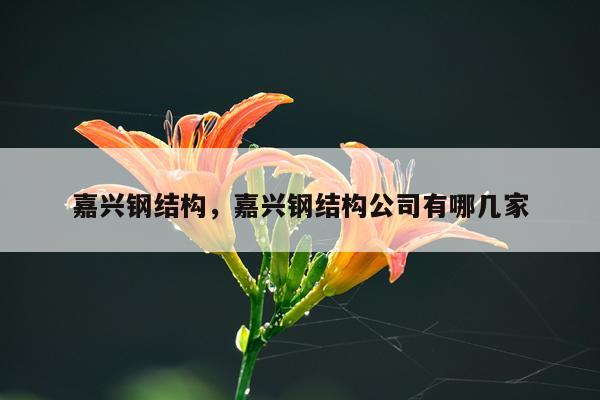 嘉兴钢结构，嘉兴钢结构公司有哪几家
